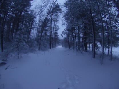 Cohasset_Blizzard_Footprints
