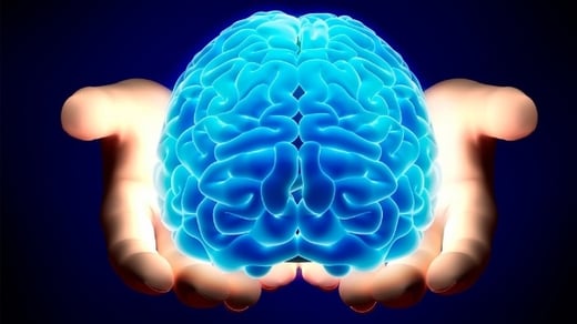 Brain-Logo.jpg